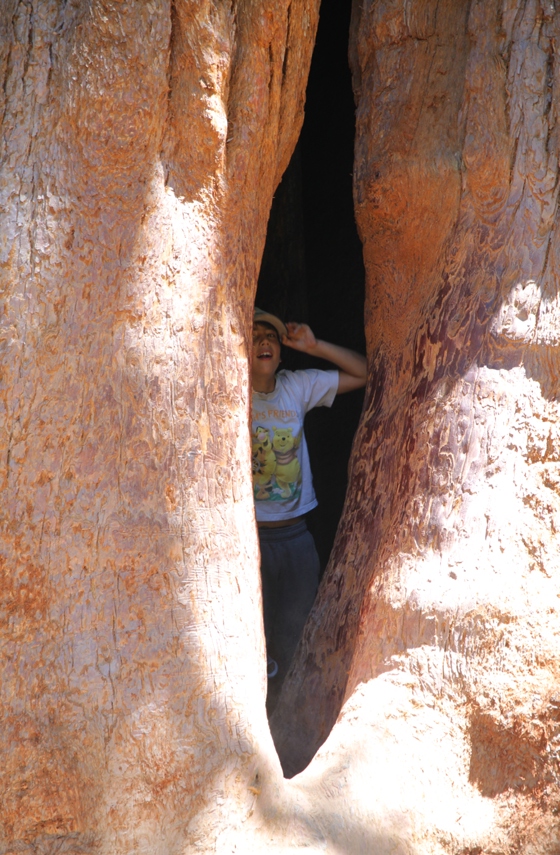 Sequoia National Forest